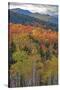 USA, New Hampshire, New England Fall colors on hillsides along highway 16 north of Jackson-Sylvia Gulin-Stretched Canvas