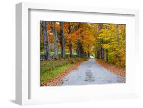 USA, New Hampshire, One lane road lined with Maple trees and stone fence in Autumn-Sylvia Gulin-Framed Photographic Print