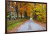 USA, New Hampshire, One lane road lined with Maple trees and stone fence in Autumn-Sylvia Gulin-Framed Photographic Print