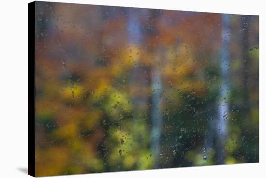 USA, New Hampshire, Sugar Hill looking through windshield on rainy day with Hardwood trees-Sylvia Gulin-Stretched Canvas