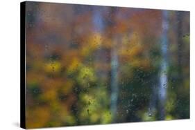 USA, New Hampshire, Sugar Hill looking through windshield on rainy day with Hardwood trees-Sylvia Gulin-Stretched Canvas