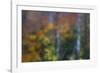 USA, New Hampshire, Sugar Hill looking through windshield on rainy day with Hardwood trees-Sylvia Gulin-Framed Photographic Print