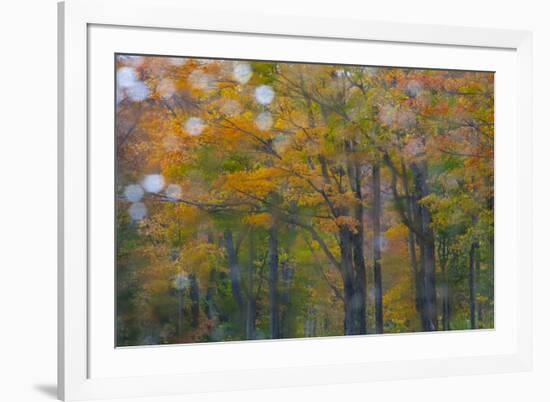 USA, New Hampshire, Sugar Hill looking through windshield on rainy day with Hardwood trees-Sylvia Gulin-Framed Photographic Print