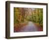 USA, New Hampshire, Sugar Hill wet and foggy morning along roadway in Autumn colors-Sylvia Gulin-Framed Photographic Print