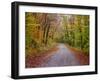 USA, New Hampshire, Sugar Hill wet and foggy morning along roadway in Autumn colors-Sylvia Gulin-Framed Photographic Print