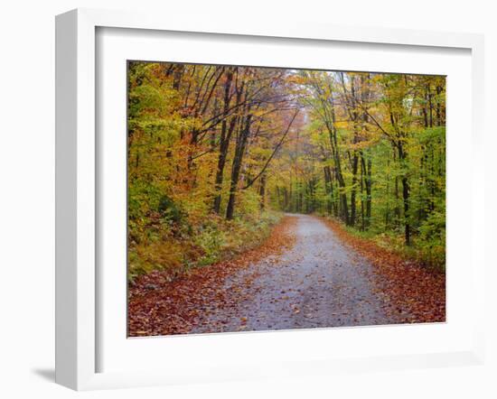 USA, New Hampshire, Sugar Hill wet and foggy morning along roadway in Autumn colors-Sylvia Gulin-Framed Photographic Print