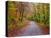 USA, New Hampshire, Sugar Hill wet and foggy morning along roadway in Autumn colors-Sylvia Gulin-Stretched Canvas