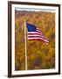 USA, New Hampshire, White Mountain National Park in Autumn/Fall-Alan Copson-Framed Photographic Print