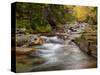 USA, New Hampshire, White Mountains, Fall at Jefferson Brook-Ann Collins-Stretched Canvas