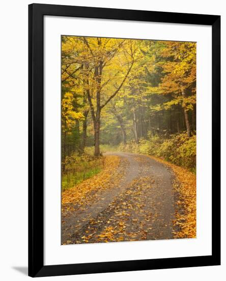 USA, New Hampshire, White Mountains, Fall color along Jefferson Notch Road-Ann Collins-Framed Photographic Print