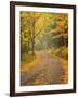 USA, New Hampshire, White Mountains, Fall color along Jefferson Notch Road-Ann Collins-Framed Photographic Print