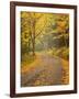 USA, New Hampshire, White Mountains, Fall color along Jefferson Notch Road-Ann Collins-Framed Photographic Print