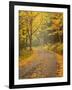 USA, New Hampshire, White Mountains, Fall color along Jefferson Notch Road-Ann Collins-Framed Photographic Print