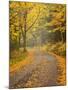 USA, New Hampshire, White Mountains, Fall color along Jefferson Notch Road-Ann Collins-Mounted Photographic Print