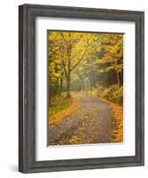 USA, New Hampshire, White Mountains, Fall color along Jefferson Notch Road-Ann Collins-Framed Photographic Print