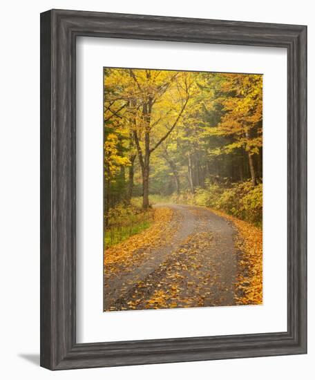 USA, New Hampshire, White Mountains, Fall color along Jefferson Notch Road-Ann Collins-Framed Photographic Print