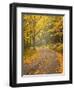 USA, New Hampshire, White Mountains, Fall color along Jefferson Notch Road-Ann Collins-Framed Photographic Print