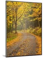 USA, New Hampshire, White Mountains, Fall color along Jefferson Notch Road-Ann Collins-Mounted Photographic Print
