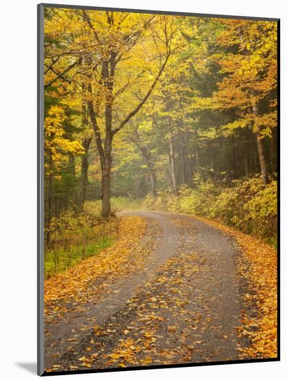 USA, New Hampshire, White Mountains, Fall color along Jefferson Notch Road-Ann Collins-Mounted Photographic Print