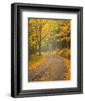 USA, New Hampshire, White Mountains, Fall color along Jefferson Notch Road-Ann Collins-Framed Photographic Print