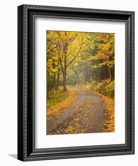 USA, New Hampshire, White Mountains, Fall color along Jefferson Notch Road-Ann Collins-Framed Photographic Print