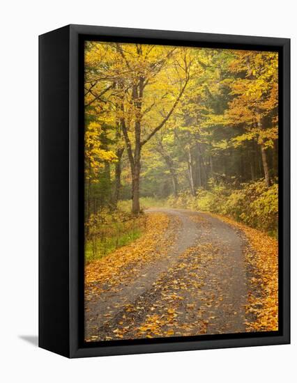 USA, New Hampshire, White Mountains, Fall color along Jefferson Notch Road-Ann Collins-Framed Stretched Canvas