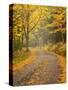 USA, New Hampshire, White Mountains, Fall color along Jefferson Notch Road-Ann Collins-Stretched Canvas