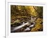 USA, New Hampshire, White Mountains, Fall color on Jefferson Brook-Ann Collins-Framed Photographic Print