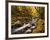 USA, New Hampshire, White Mountains, Fall color on Jefferson Brook-Ann Collins-Framed Photographic Print