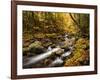 USA, New Hampshire, White Mountains, Fall color on Jefferson Brook-Ann Collins-Framed Photographic Print