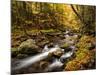USA, New Hampshire, White Mountains, Fall color on Jefferson Brook-Ann Collins-Mounted Photographic Print