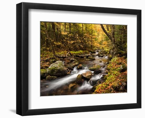 USA, New Hampshire, White Mountains, Fall color on Jefferson Brook-Ann Collins-Framed Photographic Print