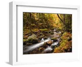 USA, New Hampshire, White Mountains, Fall color on Jefferson Brook-Ann Collins-Framed Photographic Print