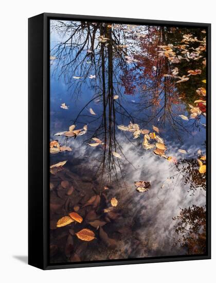 USA, New Hampshire, White Mountains, Fall reflections on Pemigewasset River-Ann Collins-Framed Stretched Canvas