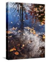 USA, New Hampshire, White Mountains, Fall reflections on Pemigewasset River-Ann Collins-Stretched Canvas