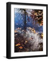 USA, New Hampshire, White Mountains, Fall reflections on Pemigewasset River-Ann Collins-Framed Photographic Print