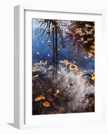USA, New Hampshire, White Mountains, Fall reflections on Pemigewasset River-Ann Collins-Framed Photographic Print