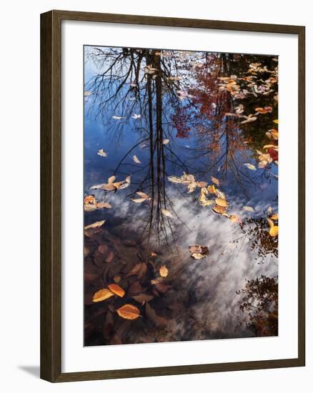 USA, New Hampshire, White Mountains, Fall reflections on Pemigewasset River-Ann Collins-Framed Photographic Print