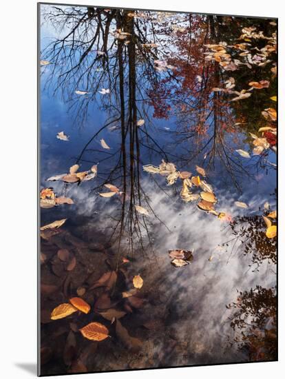 USA, New Hampshire, White Mountains, Fall reflections on Pemigewasset River-Ann Collins-Mounted Photographic Print