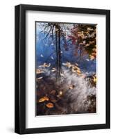 USA, New Hampshire, White Mountains, Fall reflections on Pemigewasset River-Ann Collins-Framed Premium Photographic Print