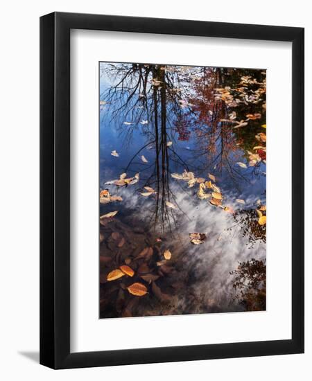 USA, New Hampshire, White Mountains, Fall reflections on Pemigewasset River-Ann Collins-Framed Premium Photographic Print