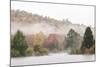 USA, New Hampshire, White Mountains, Fog drifting around Coffin Pond-Ann Collins-Mounted Photographic Print