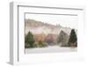 USA, New Hampshire, White Mountains, Fog drifting around Coffin Pond-Ann Collins-Framed Premium Photographic Print