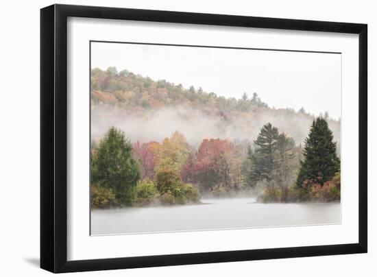 USA, New Hampshire, White Mountains, Fog drifting around Coffin Pond-Ann Collins-Framed Photographic Print