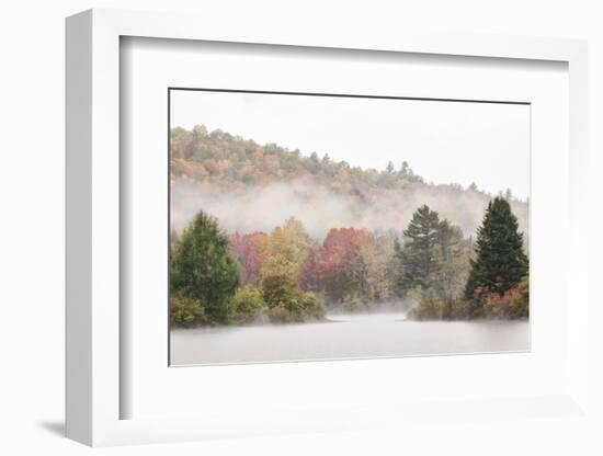 USA, New Hampshire, White Mountains, Fog drifting around Coffin Pond-Ann Collins-Framed Photographic Print