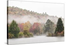 USA, New Hampshire, White Mountains, Fog drifting around Coffin Pond-Ann Collins-Stretched Canvas