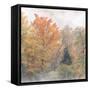 USA, New Hampshire, White Mountains, Fog swirling around maples at Coffin Pond-Ann Collins-Framed Stretched Canvas