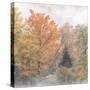 USA, New Hampshire, White Mountains, Fog swirling around maples at Coffin Pond-Ann Collins-Stretched Canvas