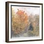 USA, New Hampshire, White Mountains, Fog swirling around maples at Coffin Pond-Ann Collins-Framed Photographic Print