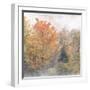 USA, New Hampshire, White Mountains, Fog swirling around maples at Coffin Pond-Ann Collins-Framed Photographic Print